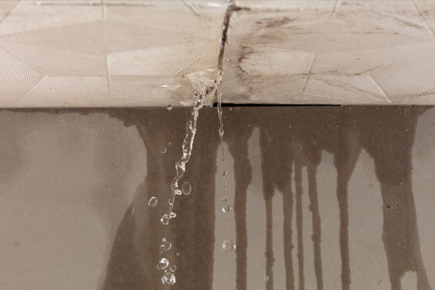 Professional Structural Drying technician working in Olton, TX